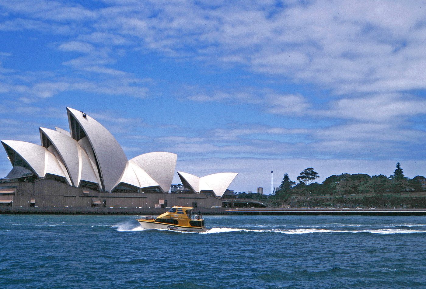 Sydney Opera House sails beside Sydney Harbour.